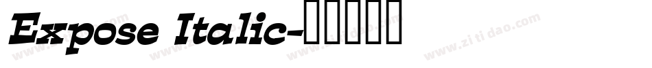 Expose Italic字体转换